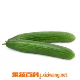 吃瓜百科今日首页,今日热点事件大盘点